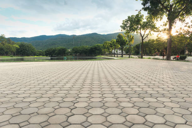 Best Residential Driveway Paver Services  in Tehaleh, WA